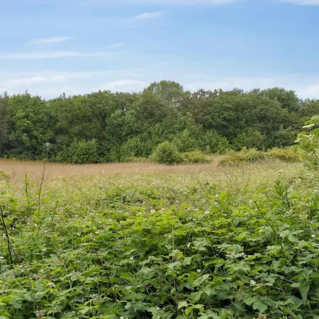 Scenic Area Close To Forest Golf And *