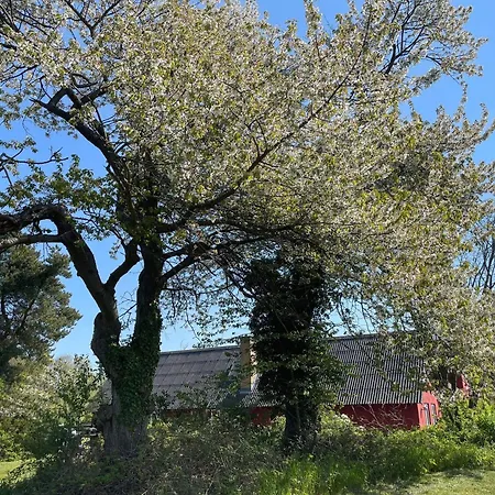 Κατάλυμα σε φάρμα Scenic Area Close To Forest Golf And