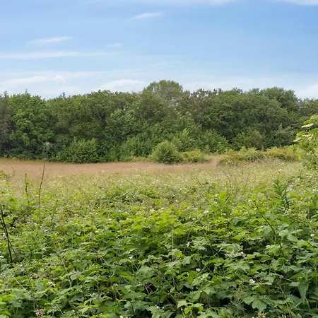 Scenic Area Close To Forest Golf And *