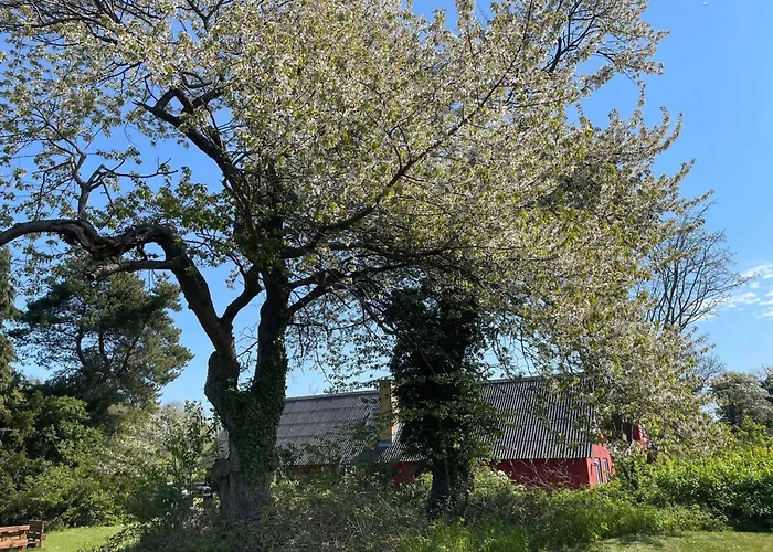 Farma Scenic Area Close To Forest Golf And *